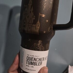 Stanley Quencher H2.0 Tumbler with Disney Castle Design